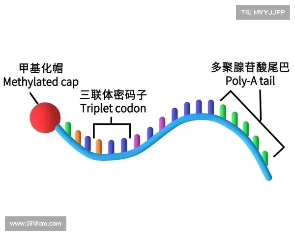 提升GPS定位精准度与效率的创新方法与技术探索 提升GPS定位精准度与效率的创新方法与技术探索