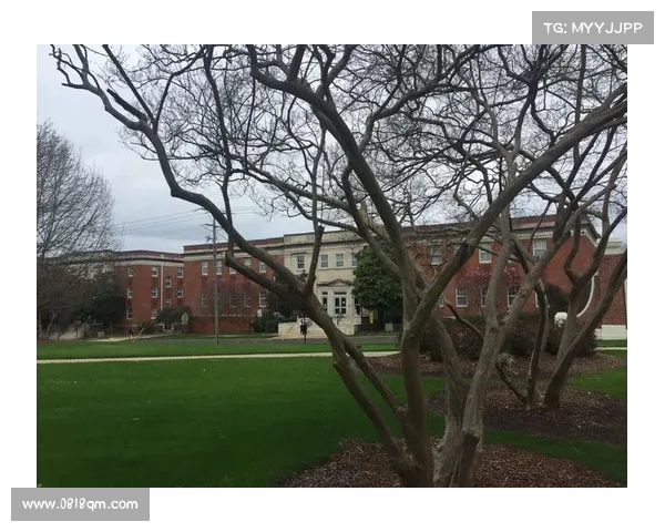 巴舒亚伊多语言能力对其跨文化交流与职业发展的影响研究